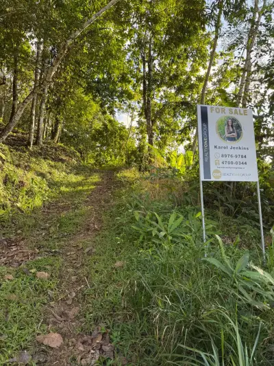 🌊 Luxe Tropical et Investissement : Terrain avec Vues Océan & Jungle et Permis Approuvés 5