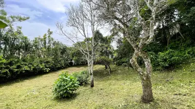 Lot Avec Maison À Vendre À San Ramón, Alajuela 2