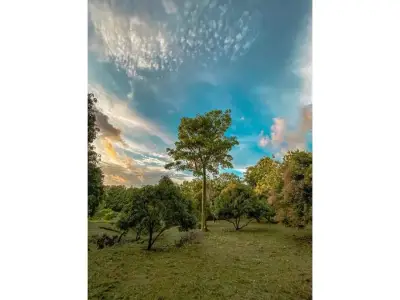Terrain à Vendre à Lagunilla, à 20 min de Jaco - Construisez la maison de vos rêves ! 2