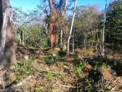 Amazing Tropical Mountain Lot for Sale - Santa Teresa 3