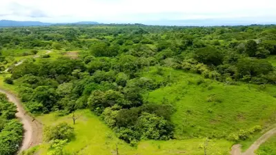 Modern Green Living in a Gated Community in Santa Teresa, Costa Rica - Lots start at $110K
