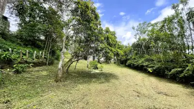 Lot Avec Maison À Vendre À San Ramón, Alajuela 1