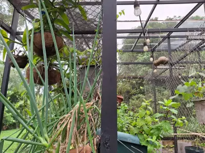 Retraite Éco-Domaine Bijagual : Vie Durable avec Maisons d'Invités, Accès Rivière et Jardins Luxuriants 3