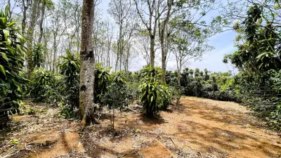 Terrain Constructible À Vendre À San Isidro, San Ramón 5