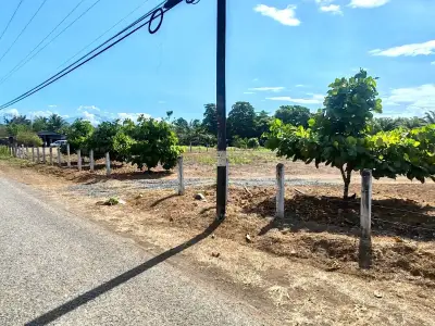 Vaste terrain de 4200 m² à développer ou pour l'agriculture près de Playa Palo Seco, Parrita 2
