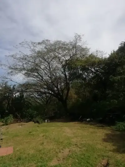 Magnifique terrain à Santa Ana pour un promoteur 4