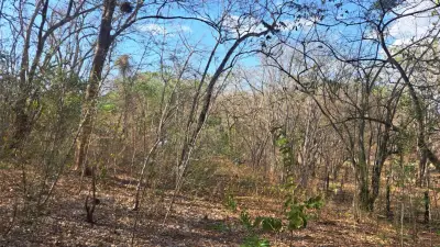 Vente / Terrain exceptionnel à Tamarindo, Guanacaste : près des plages et de la nature 5