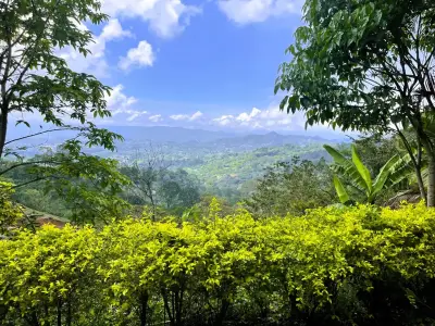 Terrain à vendre à Athènes, Alajuela 1