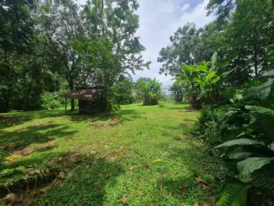 Ferme à vendre à San Ramon 3