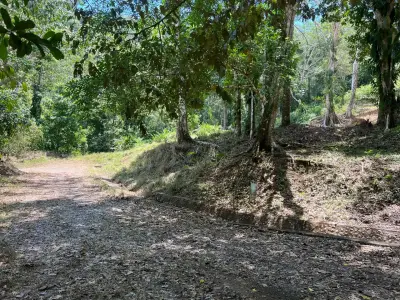 Terrain de développement exceptionnel de 5028 m² à Jacó, Costa Rica – Des possibilités infinies vous attendent 3