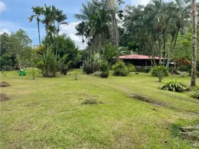 Paradis caribéen à Guácimo, Limón 2