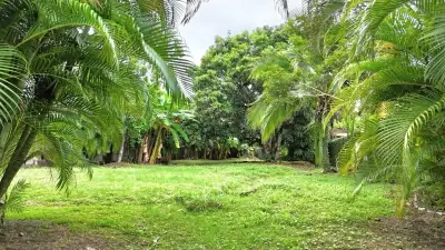 Terrain de 931 m² à vendre sur une route commerciale principale à Jacó | Opportunité d'investissement 2