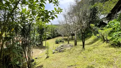 Lot Avec Maison À Vendre À San Ramón, Alajuela 3