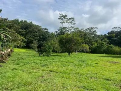Spacious 2,600 m2 Lot with Fruit Trees near Santa Teresa - Ready to Build 4