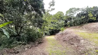 Terrain Commercial À Vendre À San Miguel, Naranjo 1