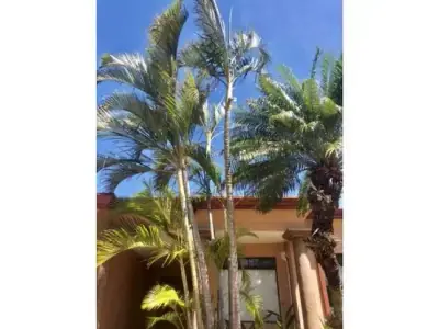À Vendre / Très Belle Maison en Condominium, Lindora, Pozos, Santa Ana, San José 2