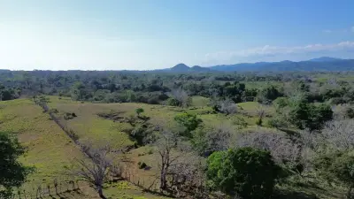Exceptional 32-Hectare Finca for Sale Near Santa Teresa, Costa Rica – $12.50/m² 3