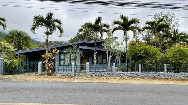 Palmares