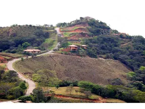 Orotina