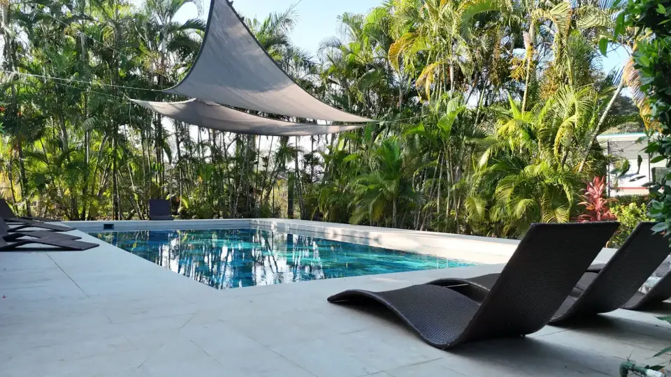 Pool with a shade sail and lounge chairs surrounded by palms